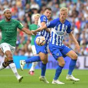 Albion and Newcastle have had busy campaigns since their early-season meeting at the Amex