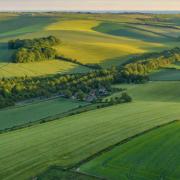 44 per cent of the city's land is South Downs