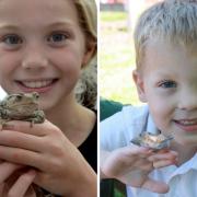 Children have had the chance to enjoy nature on the South Downs
