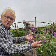 Geoff and the buddleia