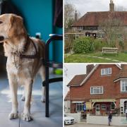There are a fair few Sussex pubs which are recognised for being quality and dog-friendly