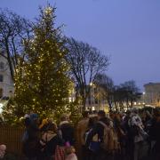 The Christmas Tree in Palmeira Square