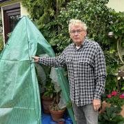 Geoff with the new temporary greenhouse