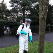 A worker spraying glyphosate in another part of the country