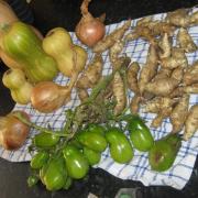 Fresh produce from Coldean allotments.