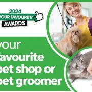 Nominate your favourite pet shop or pet groomer