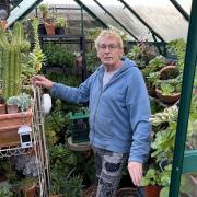 Geoff checking the greenhouse