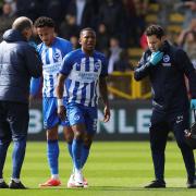 Pervis Estupinan is among Albion players affected by injuries