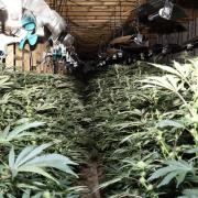 Sussex Police uncovered a cannabis farm at Riverside Industrial Estate in Littlehampton