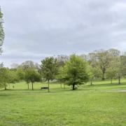 Hove Park has become a 'ghost park,' according to a resident