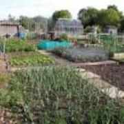 A typical allotment