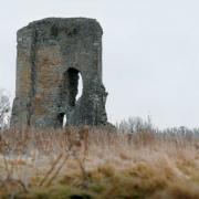 The remains of Knepp Castle near Shipley