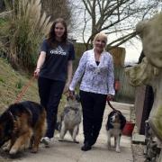 Janet Oliver with her other dogs and with Lois Morris, director of Corie Collies kennels and cattery