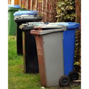 Rise in vermin after bin problems in Brighton and Hove