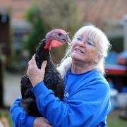 Caring for animals is a 24/7 job for Charity of the Year contender Paws Animal Sanctuary in Findon