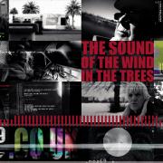 Brighton Digital Festival: The Sound Of The Wind In The Trees