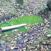 Mystery over green stream near Cuadrilla drilling site in Balcombe