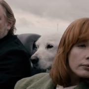 Brendan Gleeson, Bruno the Labrador and Kelly Reilly take a ride in Calvary