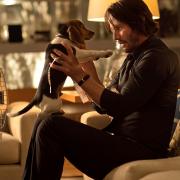Daisy the Dog (Andy) and John Wick (Keanu Reeves) share a moment...