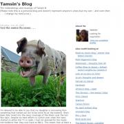 SWINE SCARES: Tamsin's blog