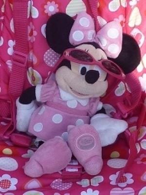 Mouse Minnie