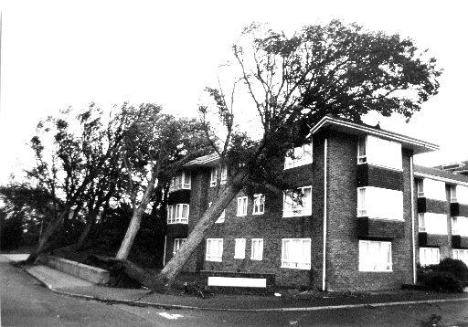 Trees crashed into Carn Court block of flats in Queens Park