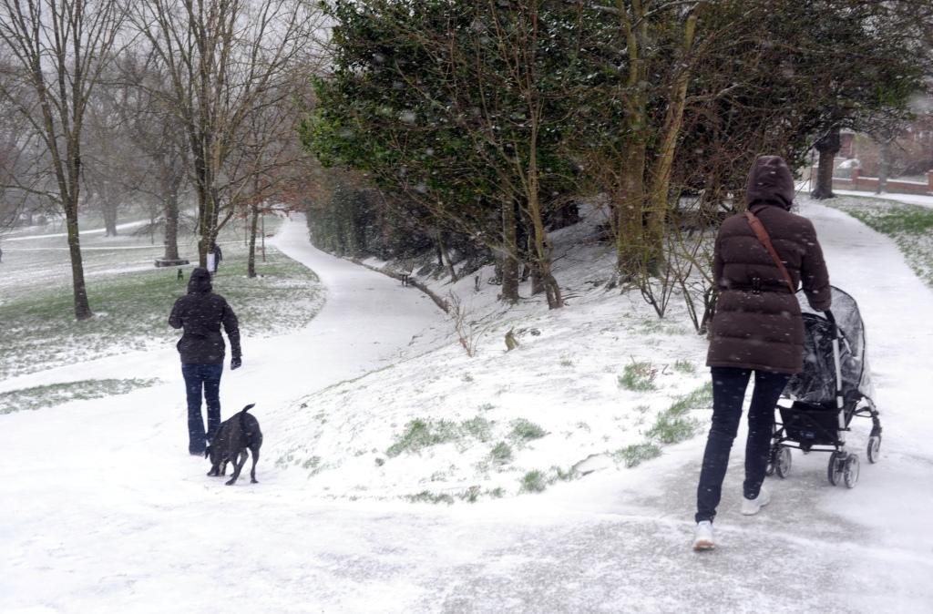 Out walking their dogs and children as snow falls in the Queens Park area of Brighton this morning