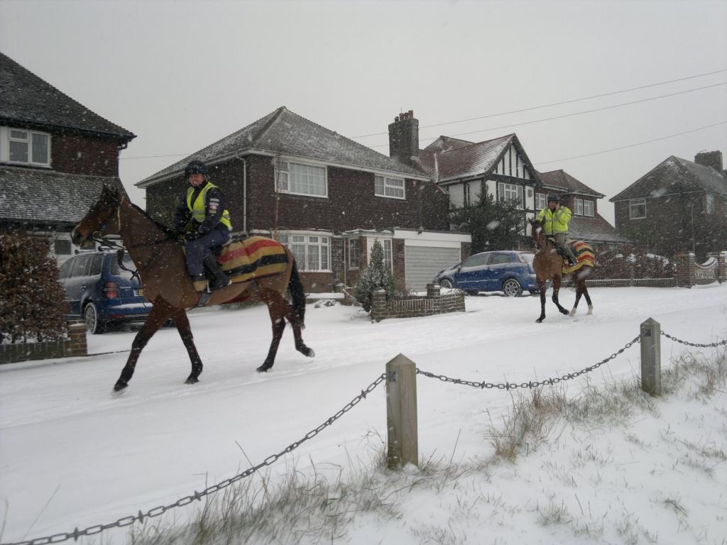 Readers' pics sent in by Anthony Rogers.
Send us your snow photos by emailing them to news@theargus.co.uk or text them by texting SUPIC to 80360
