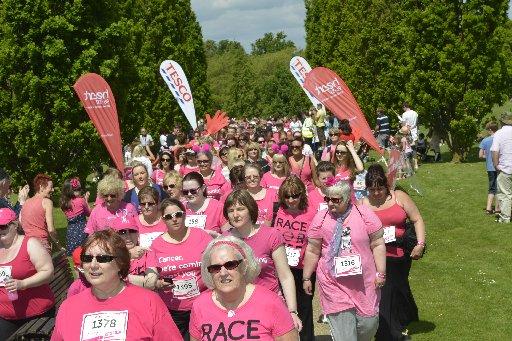 A sea of pink descended upon Horsham Park to take on the fight to battle cancer in the 2013 Horsham Race for Life.