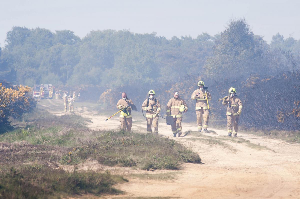 Firefighters from 23 fire stations spanning East Sussex, West Sussex and Kent came together to fight a giant fire at Ashdown Forest on June 5. (pic: Eddie Howland)