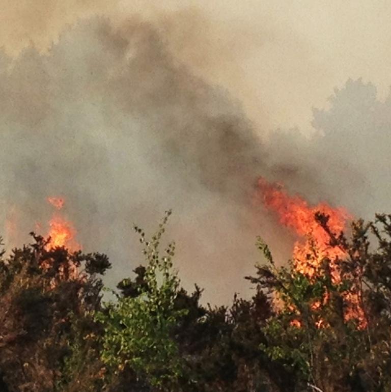 Firefighters from 23 fire stations spanning East Sussex, West Sussex and Kent came together to fight a giant fire at Ashdown Forest on June 5. (pic: Oliver Pyle)