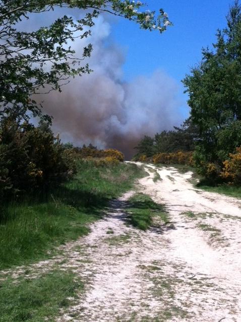 Firefighters from 23 fire stations spanning East Sussex, West Sussex and Kent came together to fight a giant fire at Ashdown Forest on June 5. (pic: Christine Webster)