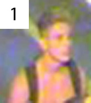 Police want to speak to these people in connection with cycle thefts in Sussex at train stations. Anyone who recognises any of the people pictured should contact British Transport Police on Freefone 0800 40 50 40 or text 61016 quoting reference B3/LSA of 