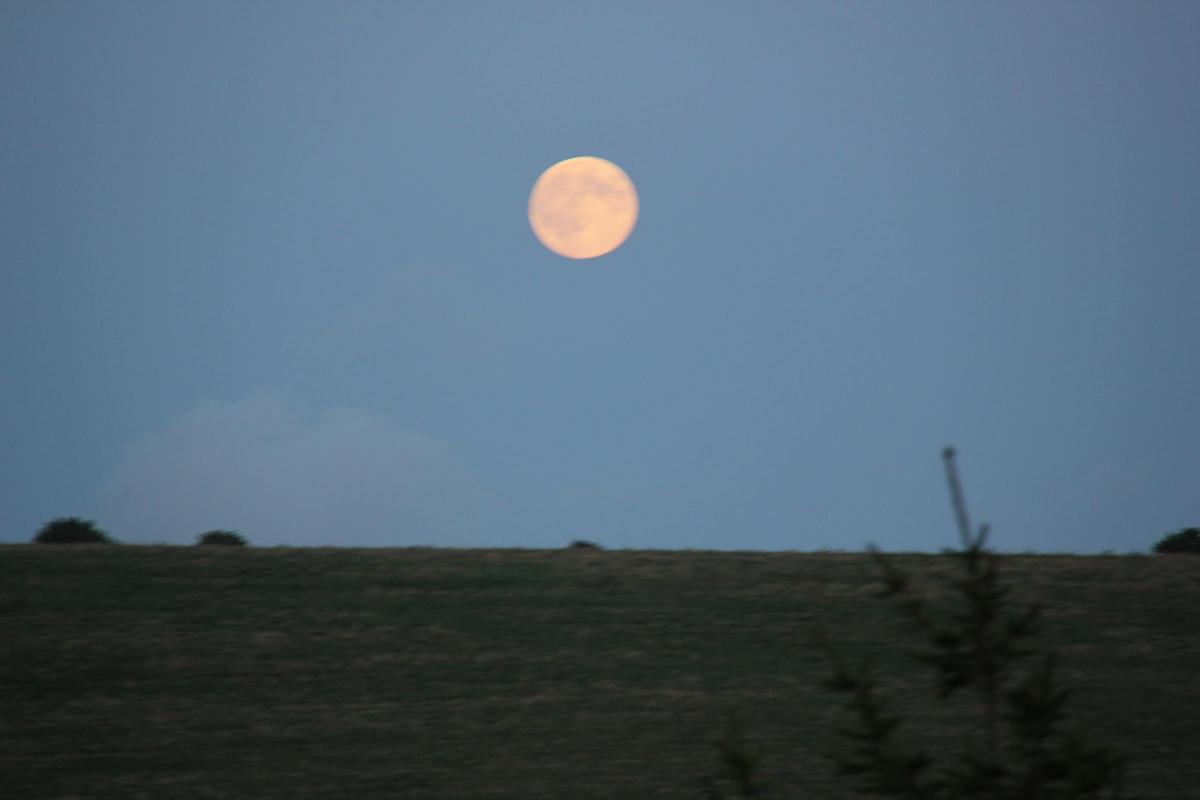 Gary took this picture of the supermoon over Woodingdean.