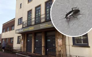 The leisure centre has suffered with cockroaches in the past