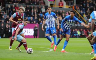 Joao Pedro will have a key role in Albion's attacking plans