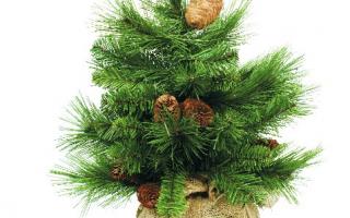 Curb the excesses this Christmas with a small but beautiful tree