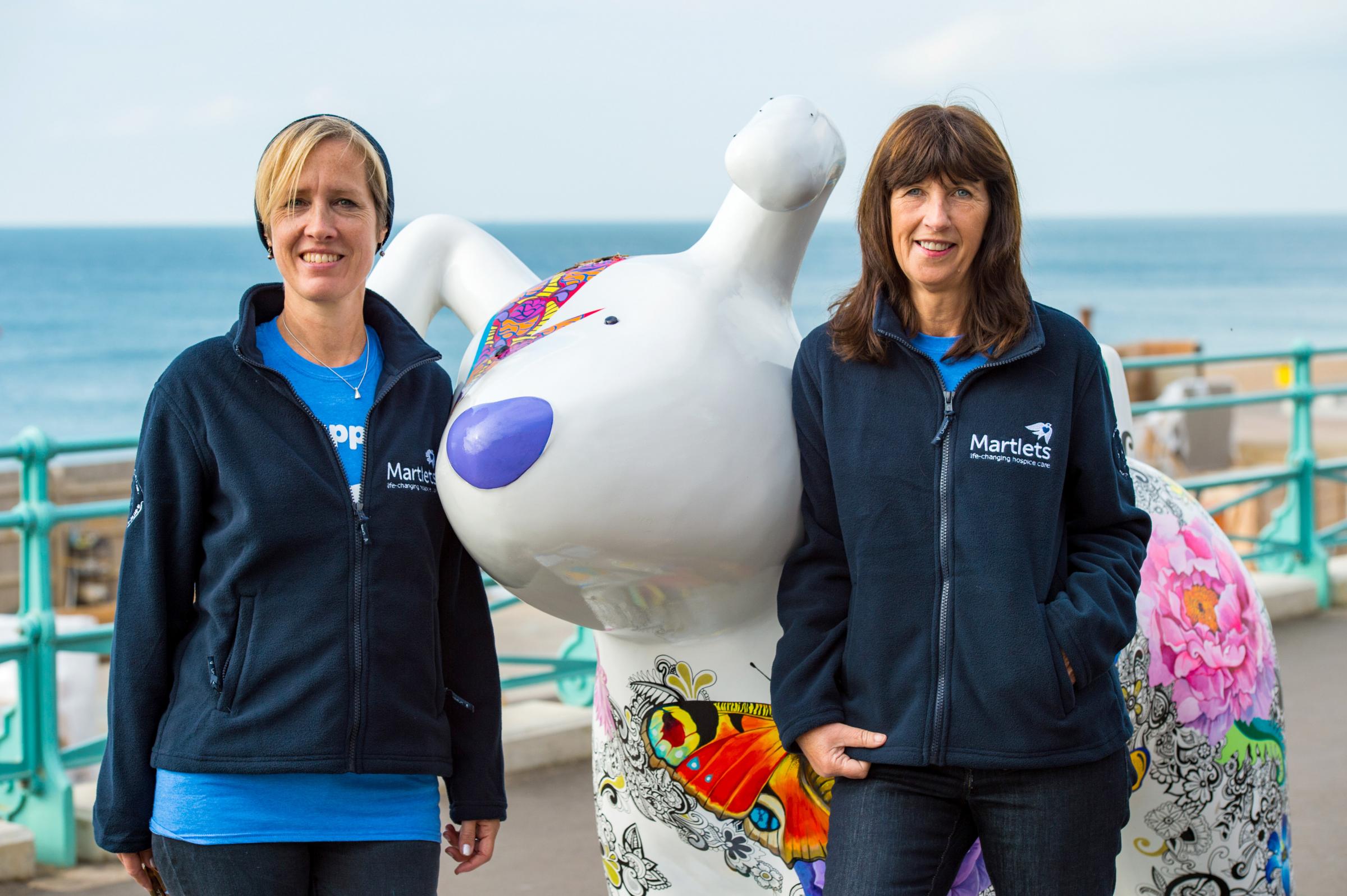 Meet the volunteers in charge of protecting the Snowdogs