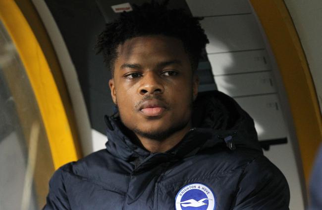Image result for Akpom, Tomori leave Brighton after loan spell ends