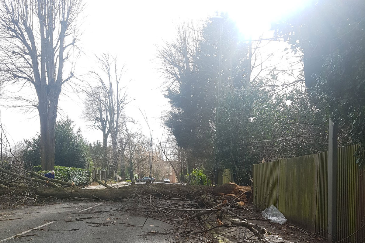 Road closed after tree falls in Storm Doris storms
