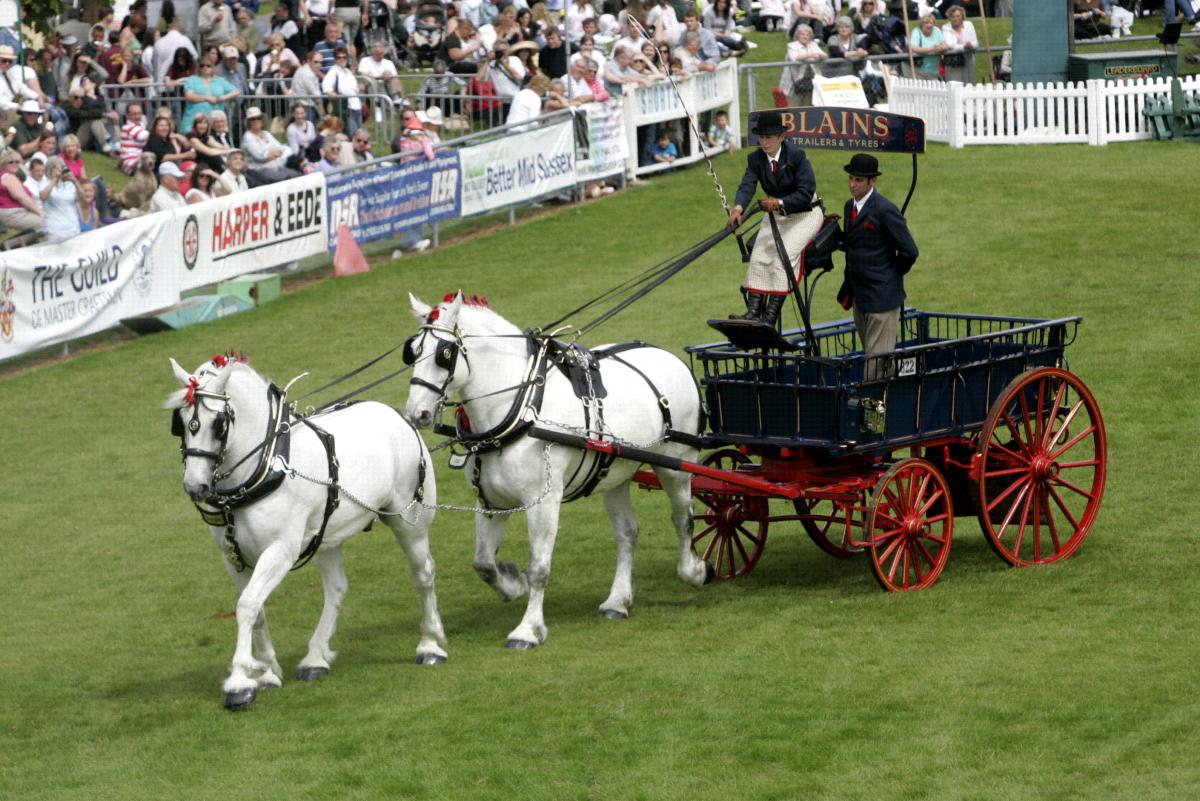 Thousands of people will be flocking to this year's South of England Show. 
Visitors are being treated to a huge range of displays and competitions in the sunshine.
The theme for this year's event is Year Of The Racehorse, and women have been encouraged