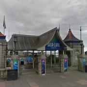 Plans have been submitted for a new tank in the Sealife Centre