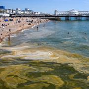 The scene on Brighton beach today
