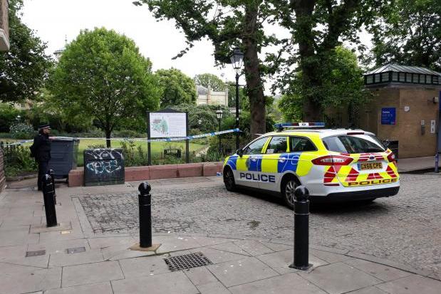 Police investigate another attempted rape in Royal Pavilion Gardens