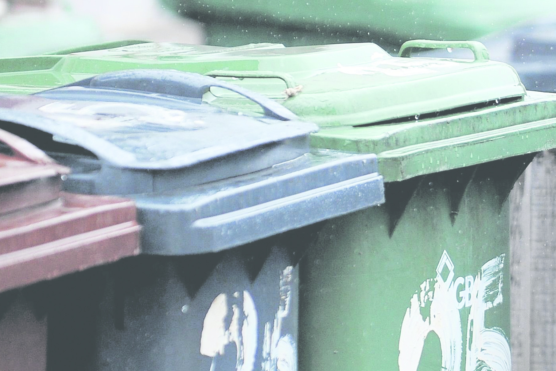 Elderly and disabled are fed up with bin problems