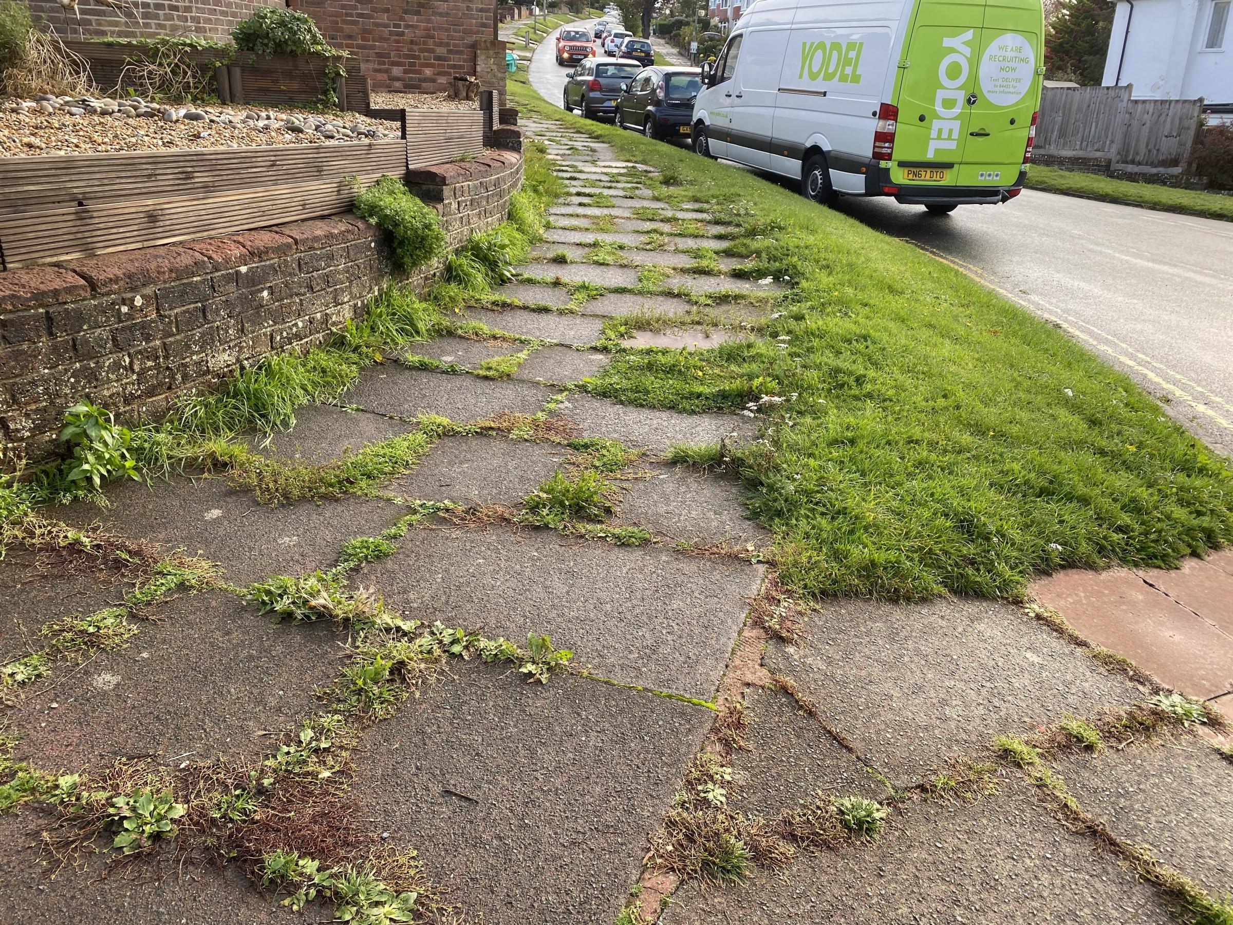Weeds in the pavement at Greenfield Crescent (2020)