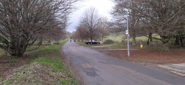 The Argus: The access road into the park, and areas to the right of the road where people have received fines for parking on