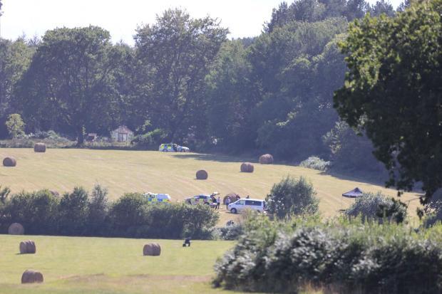 A pilot died after their plane crashed near Heathfield