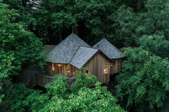The Buzzardry, Luxury Woodland Treehouse
