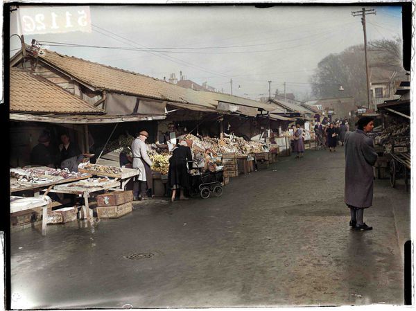 The open market, Brighton, 1952